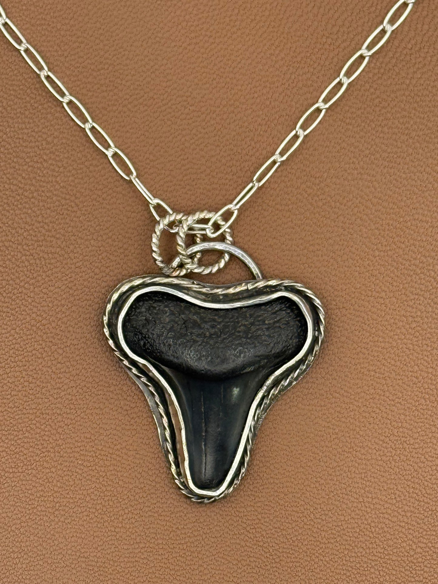 Fossil Shark Tooth Necklace