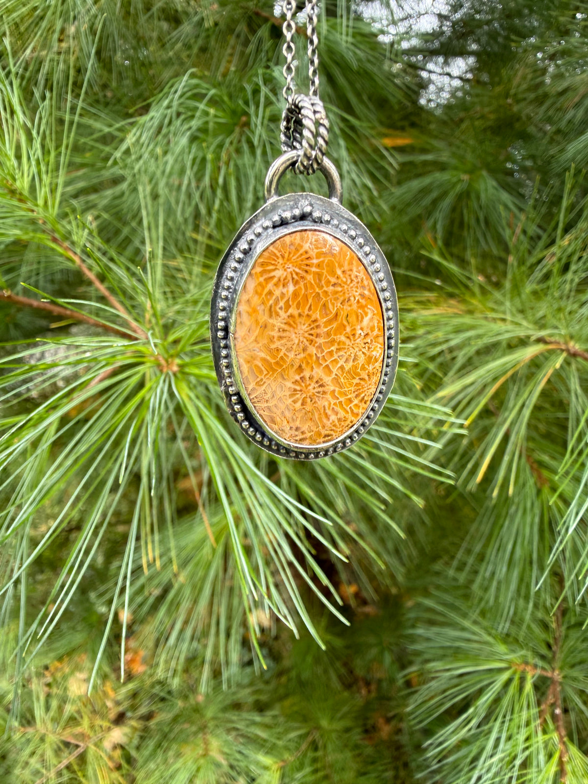 Fossil Coral Necklace