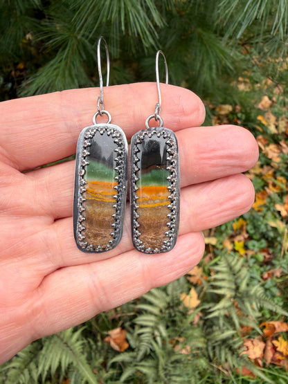 Petrified Wood Earrings