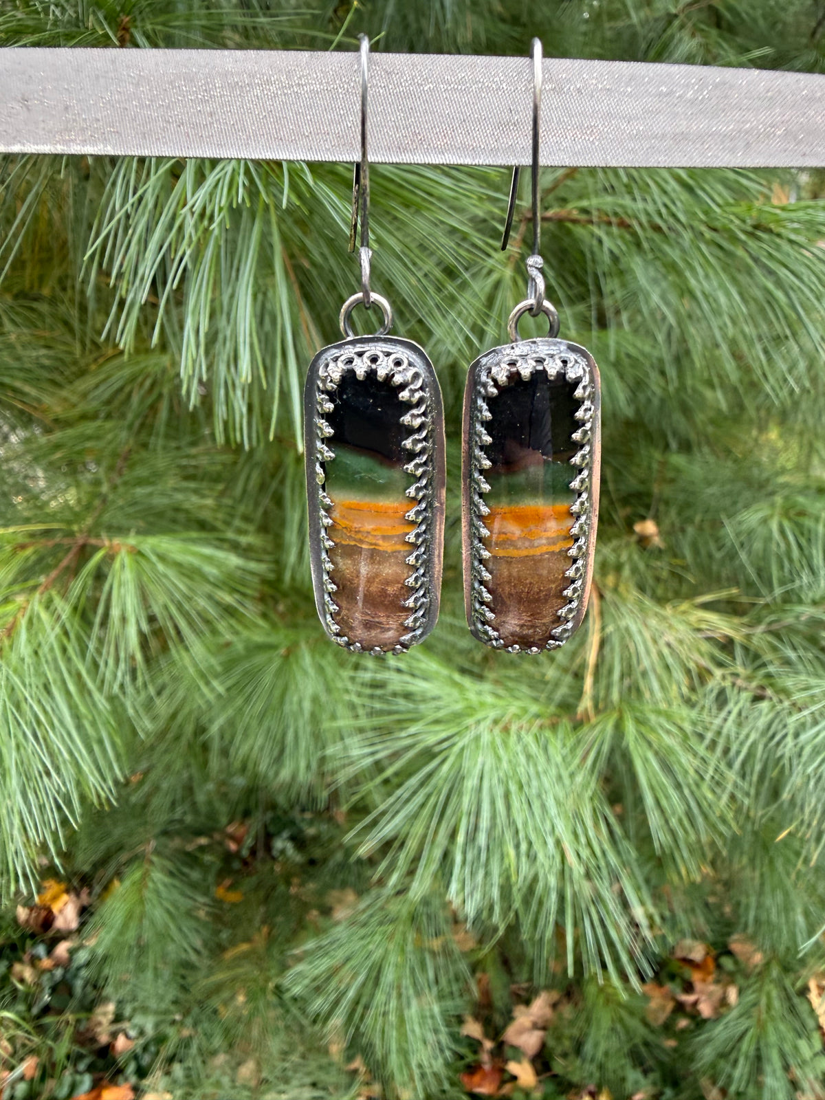 Petrified Wood Earrings