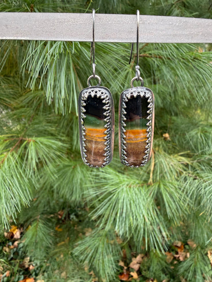 Petrified Wood Earrings