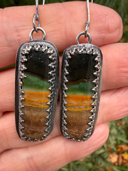 Petrified Wood Earrings