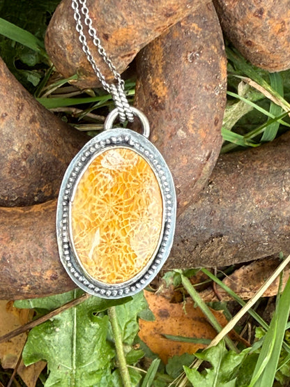 Fossil Coral Necklace