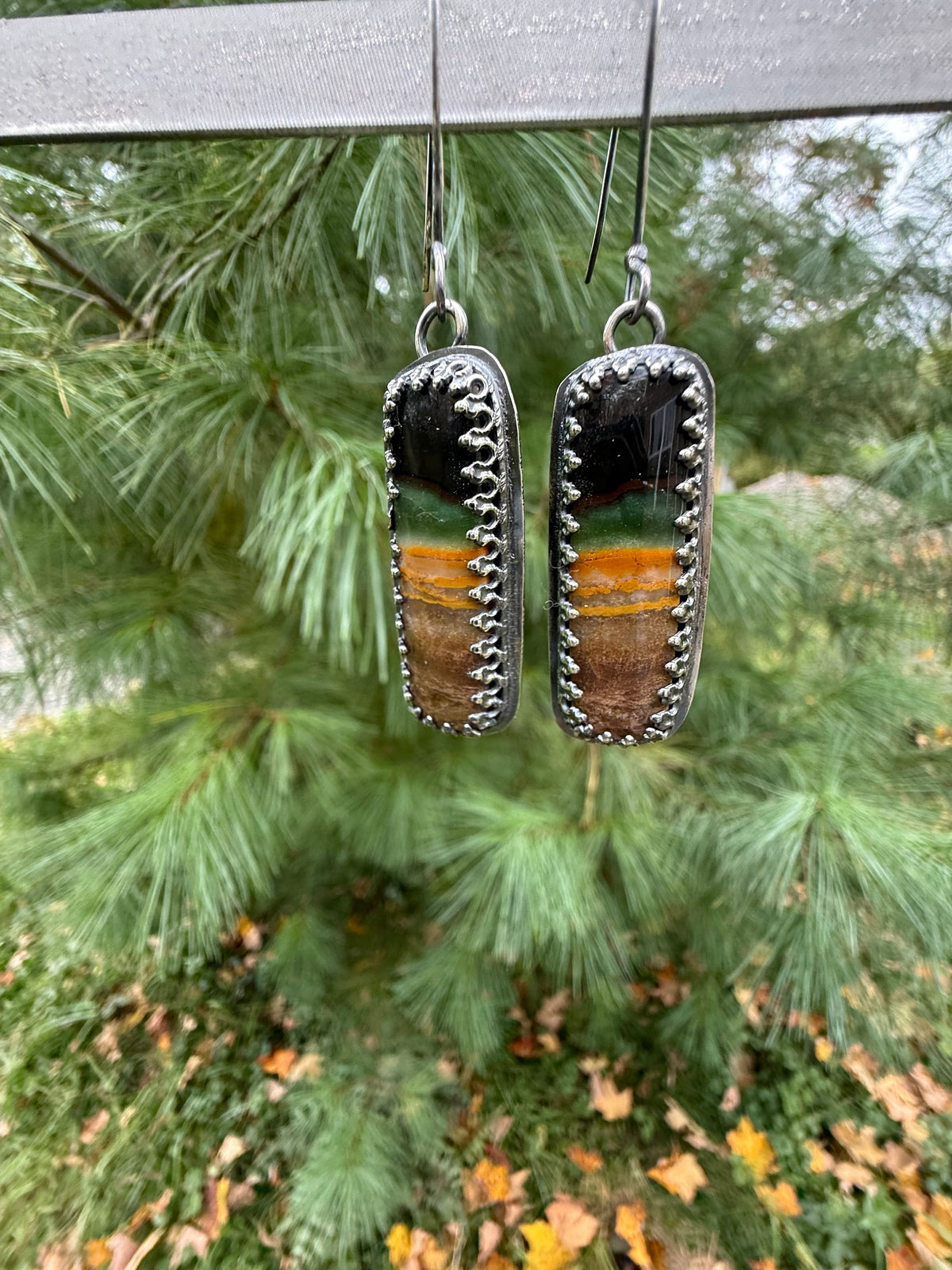 Petrified Wood Earrings