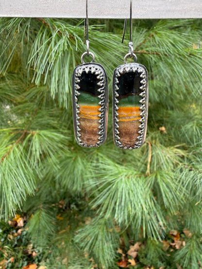 Petrified Wood Earrings