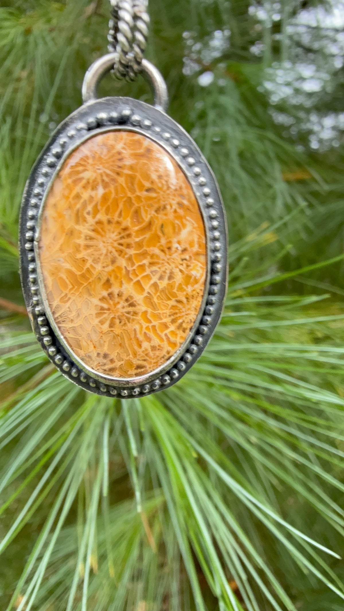 Fossil Coral Necklace