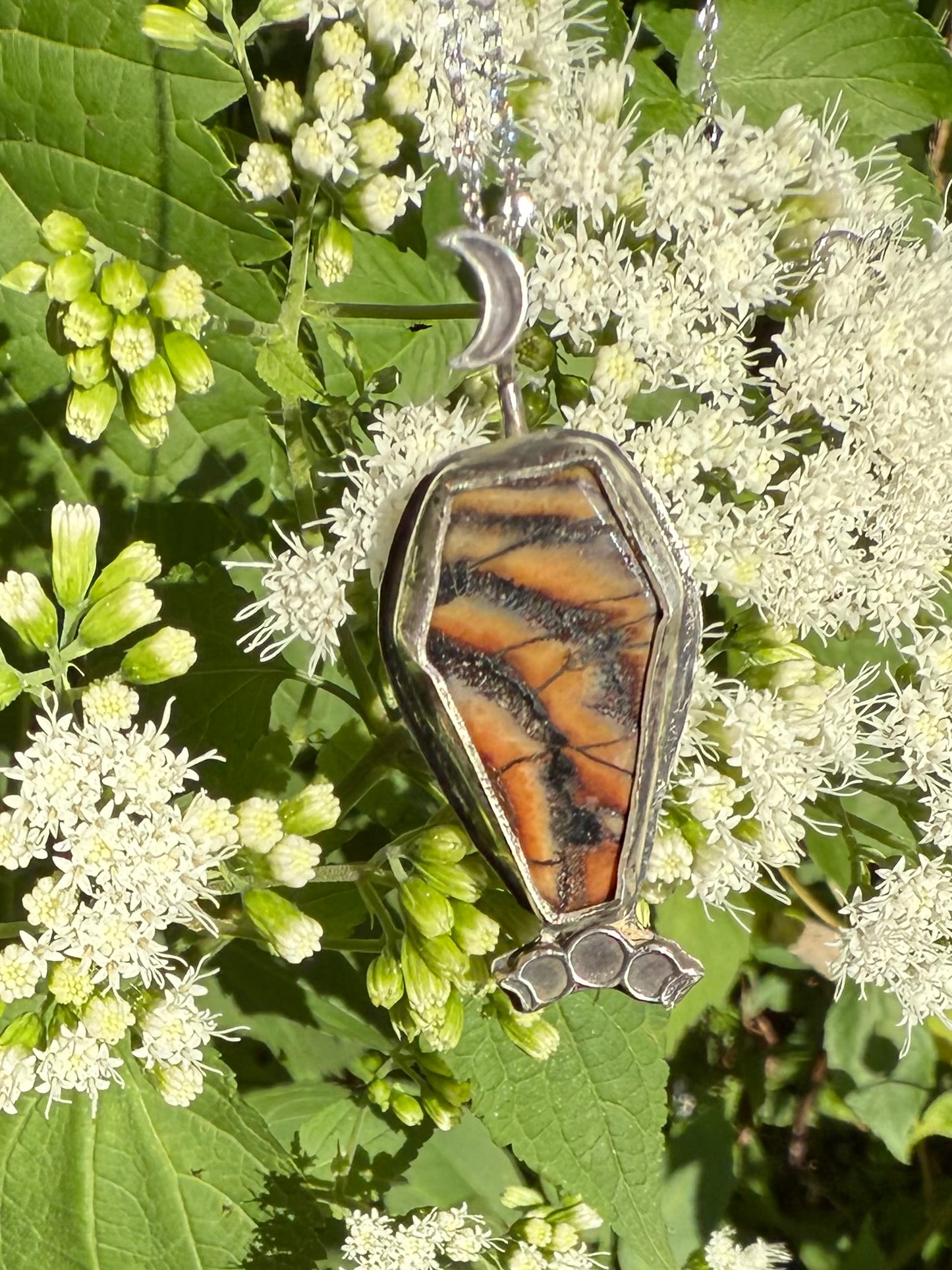 Snakeskin Wrasse Fossil Coffin Necklace