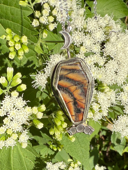 Snakeskin Wrasse Fossil Coffin Necklace