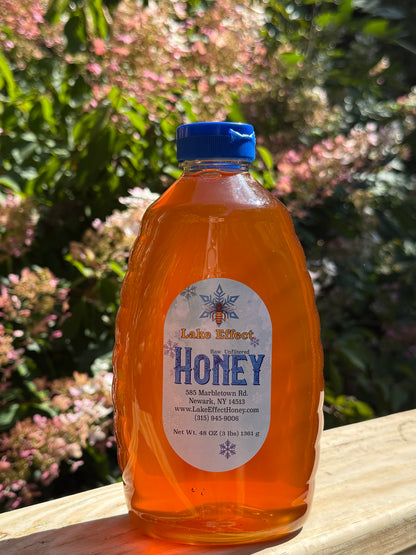 3 Pound Bottle of Pure and Natural Raw Honey- Locust, Maple Trees in Finger Lakes area NY