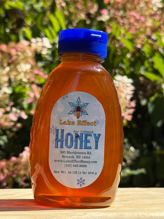 1 Pound Raw Honey from Finger Lakes Region NY- unfiltered, not pasteurized