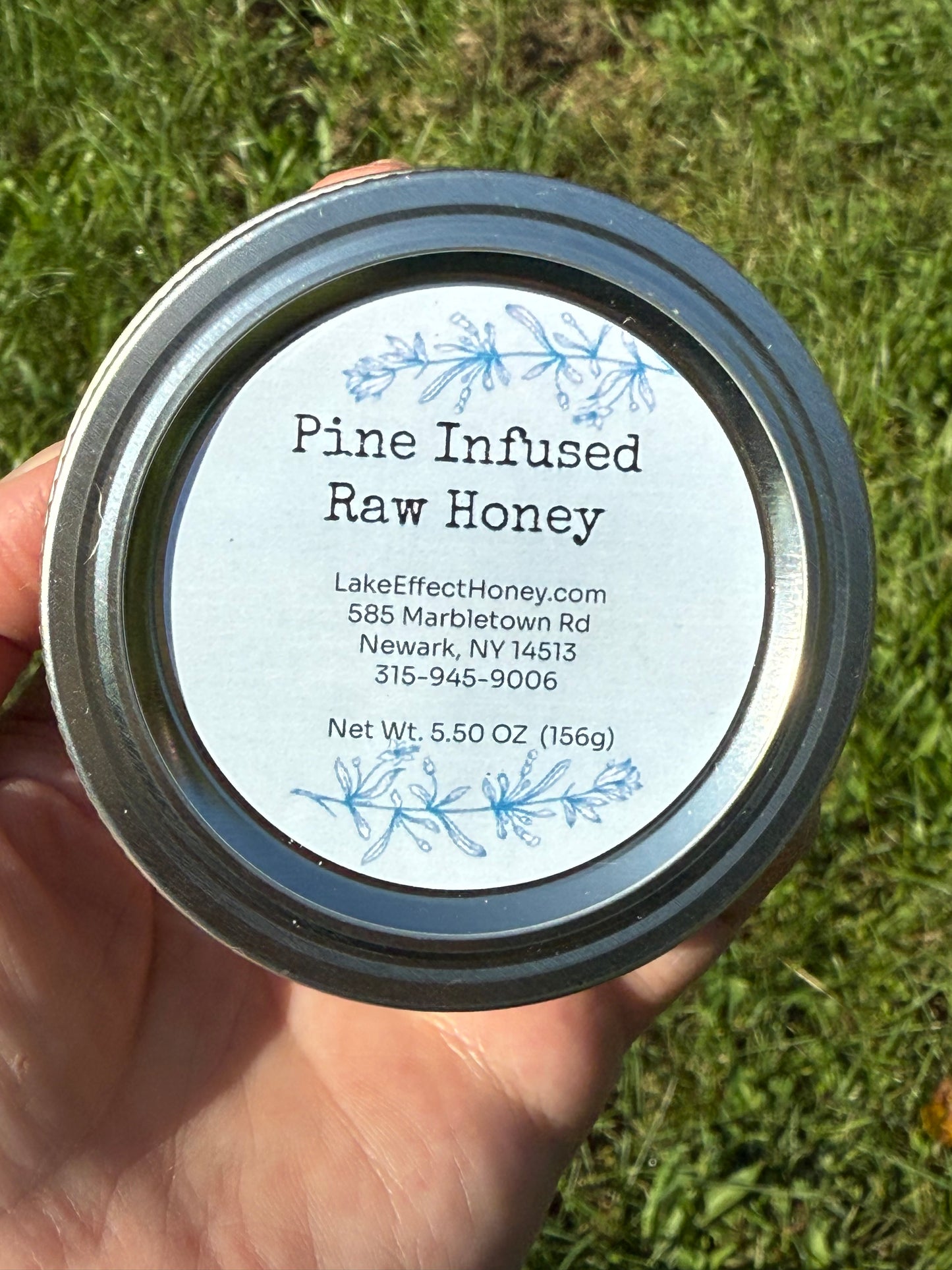 Eastern White Pine (Pinus strobus) Infused Raw Honey Honey- 5 ounces