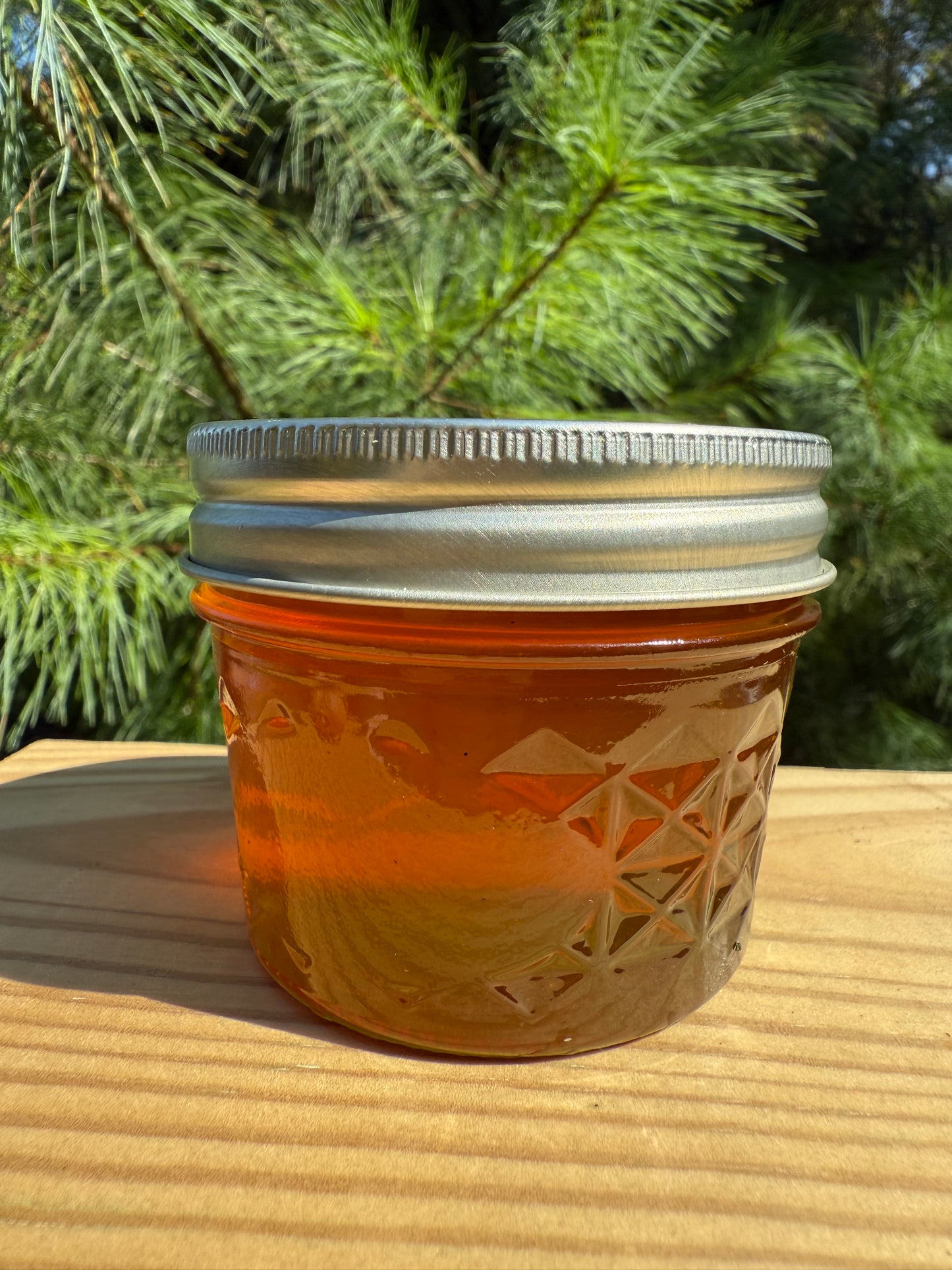 Eastern White Pine (Pinus strobus) Infused Raw Honey Honey- 5 ounces