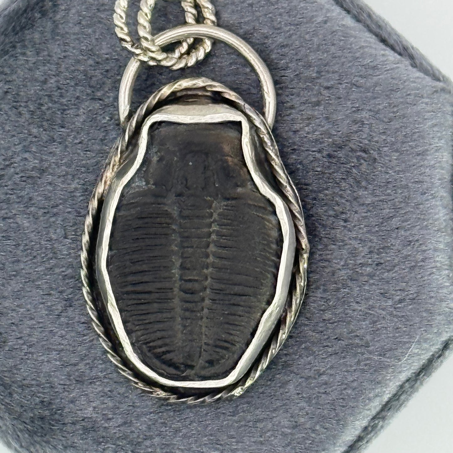 Trilobite Fossil Pendant