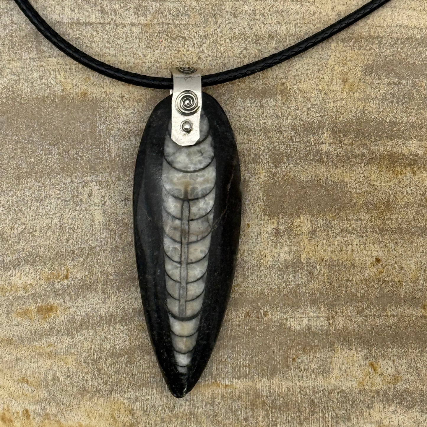 Orthoceras Fossil Pendant