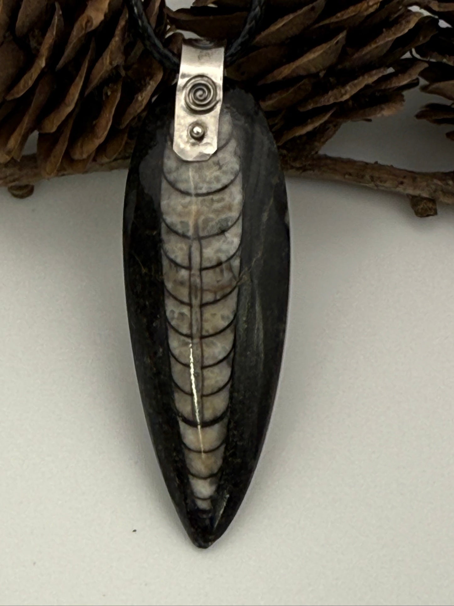 Orthoceras Fossil Pendant