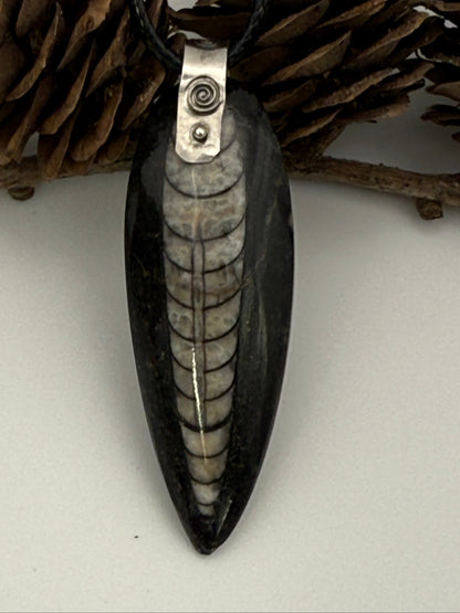 Orthoceras Fossil Pendant