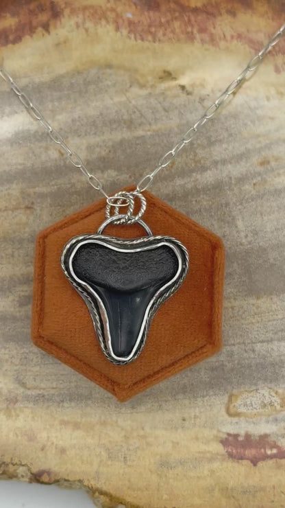 Fossil Shark Tooth Necklace