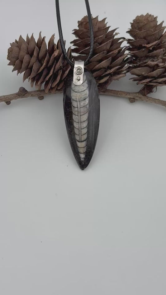 Orthoceras Fossil Pendant