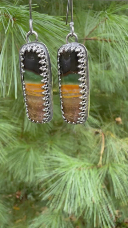 Petrified Wood Earrings